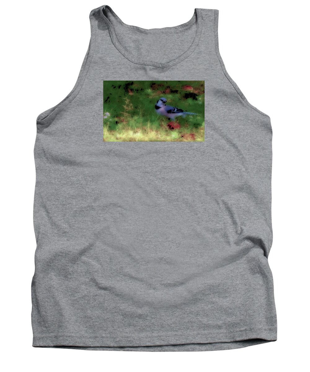 Bluejay-fall Approaching-desaturated Tank Top featuring the photograph Bluejay-Fall Approaching-desaturated by Mike Breau