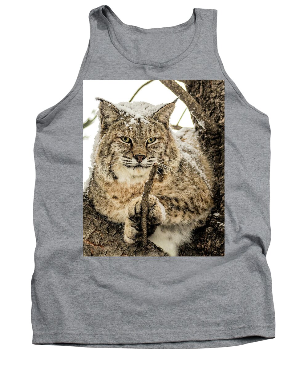 Categories Tank Top featuring the photograph Bobcat Paws. by Dawn Key