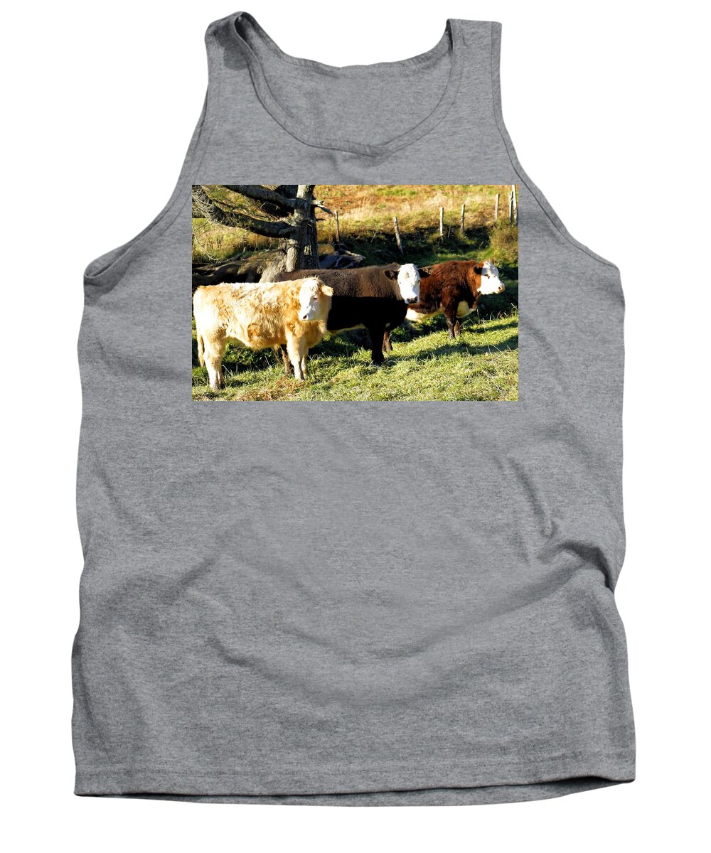 Bovines Tank Top featuring the photograph Bovine Brothers by Morgan Carter