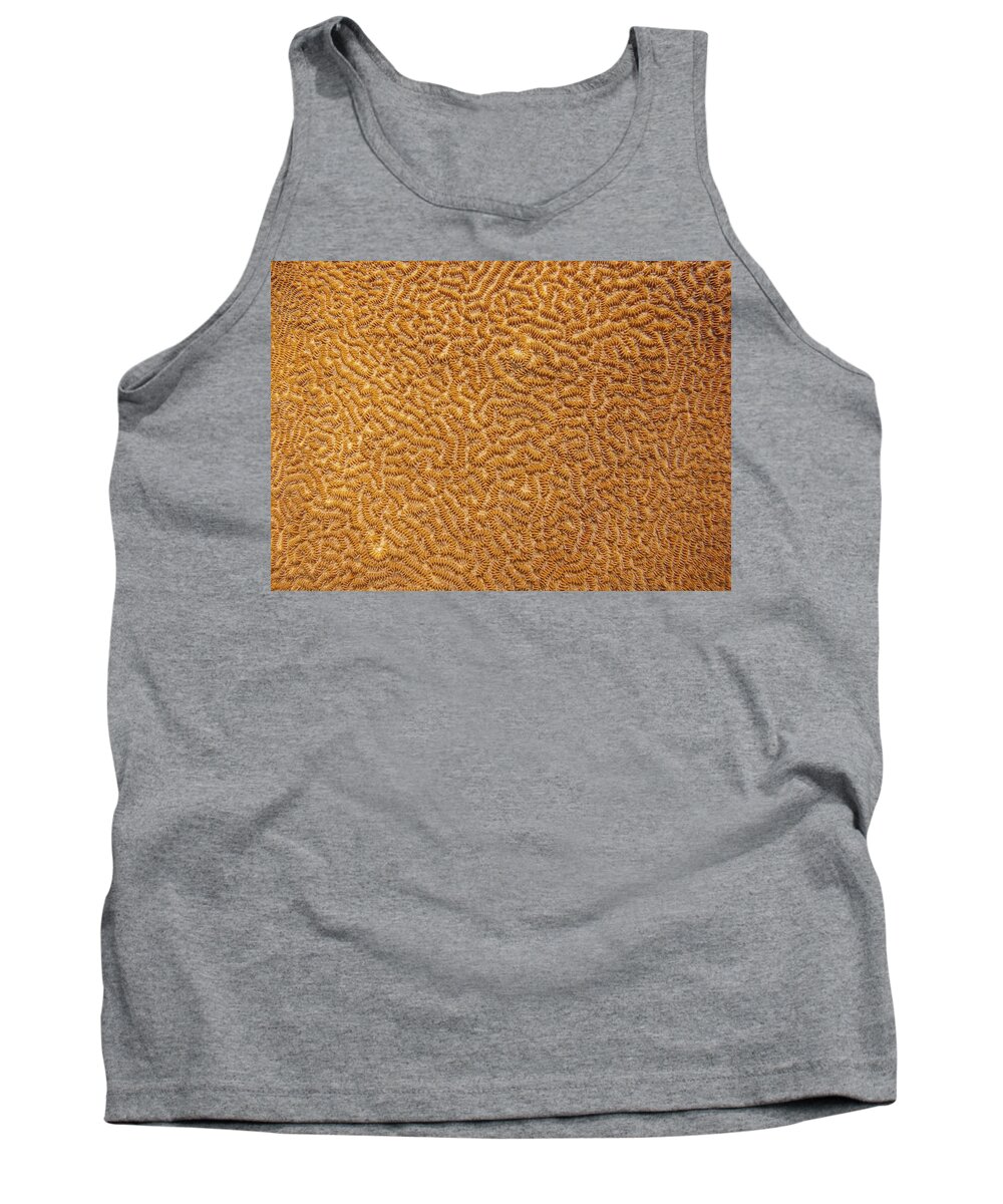 Texture Tank Top featuring the photograph Brain Coral 47 by Michael Fryd