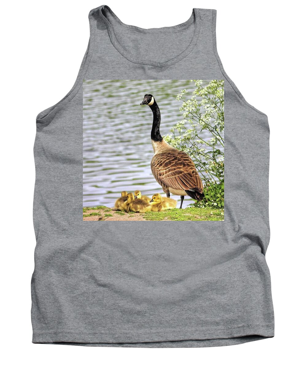 Geese Tank Top featuring the photograph Branta Canadensis

#canadagoose by John Edwards