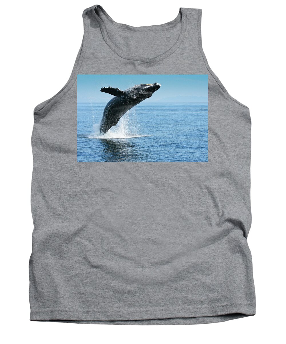 Alaska Tank Top featuring the photograph Breaching Humpback Whale by Dorothy Darden