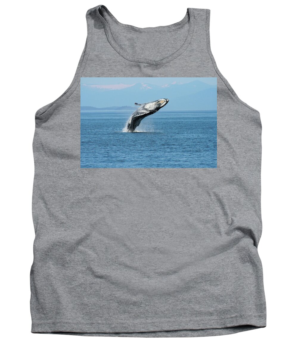 Alaska Tank Top featuring the photograph Breaching humpback whales Happy-3 by Steve Darden