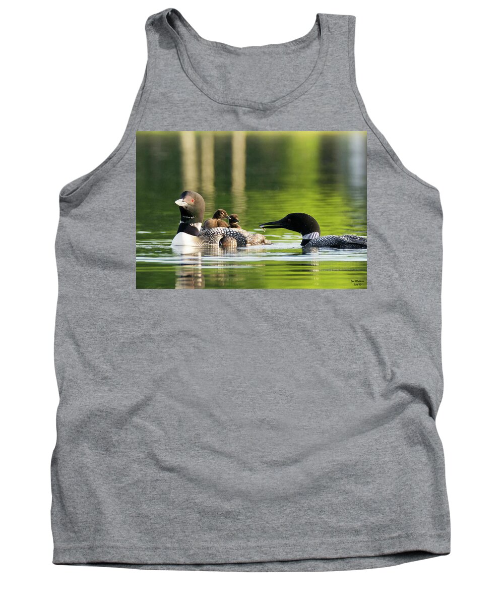 Loon Tank Top featuring the photograph Loon Mom Serves Breakfast in Bed by Jan Mulherin