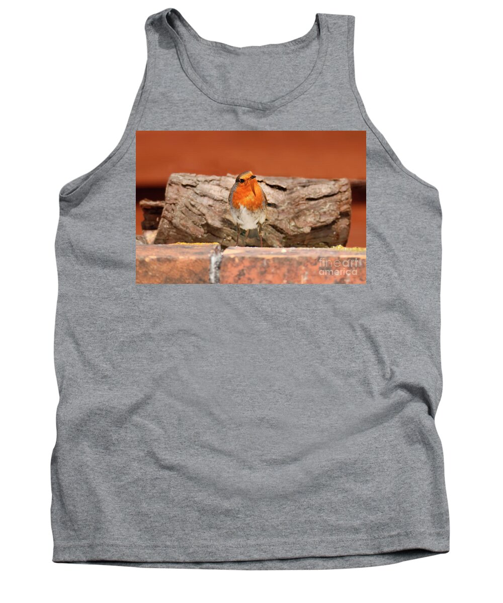 Robin Tank Top featuring the photograph British Robin by Terri Waters
