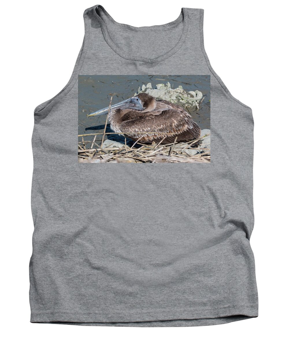 Pelican Tank Top featuring the photograph Brown Pelican 3 March 2018 by D K Wall