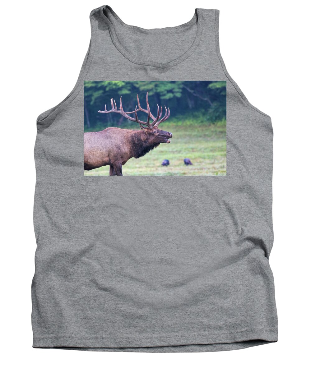 Bull Elk Bugling Tank Top featuring the photograph Bull Elk Bugling by Jemmy Archer