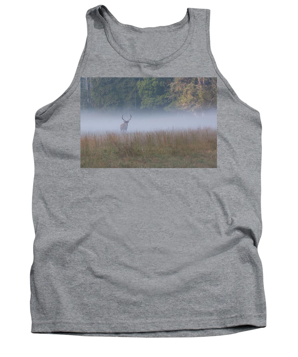 Elk Tank Top featuring the photograph Bull Elk Disappearing in Fog - September 30 2016 by D K Wall