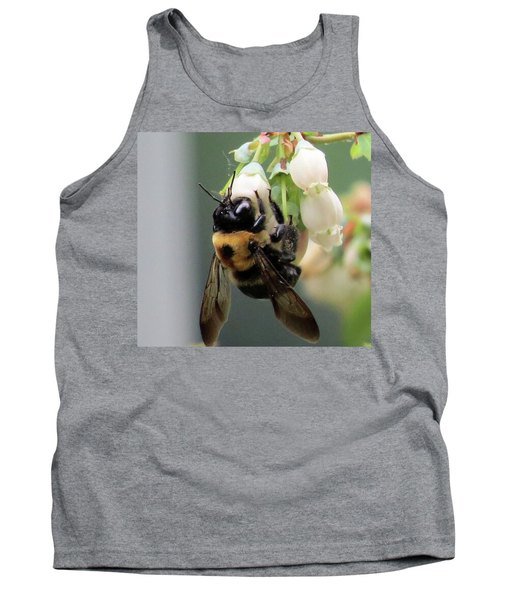 Bees Tank Top featuring the photograph Busy Bee on Blueberry Blossom by Linda Stern