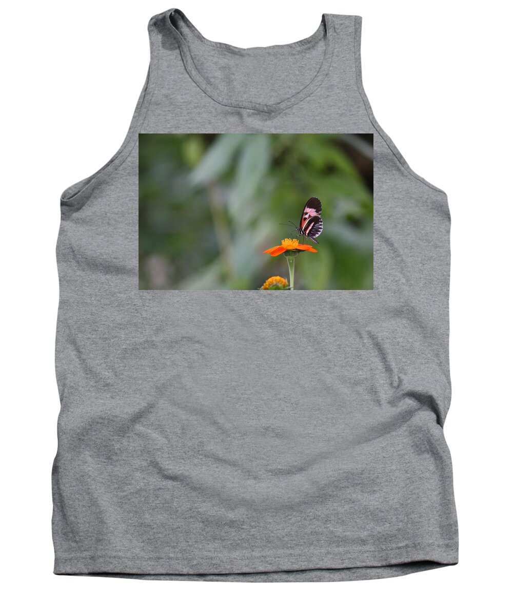 Butterfly Tank Top featuring the photograph Butterfly 16 by Michael Fryd