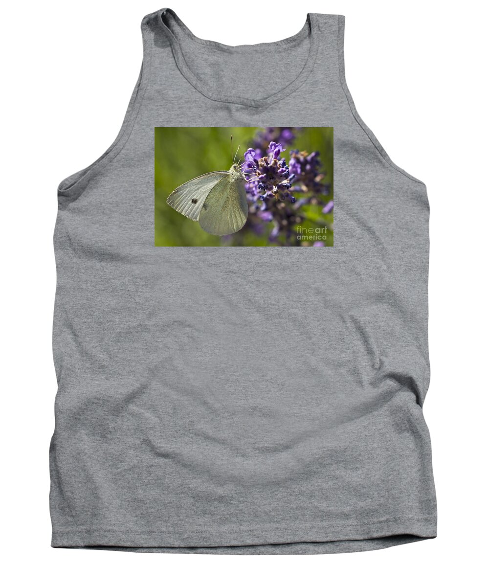 Cabbage White Butterfly Tank Top featuring the photograph Cabbage White Butterfly by Inge Riis McDonald