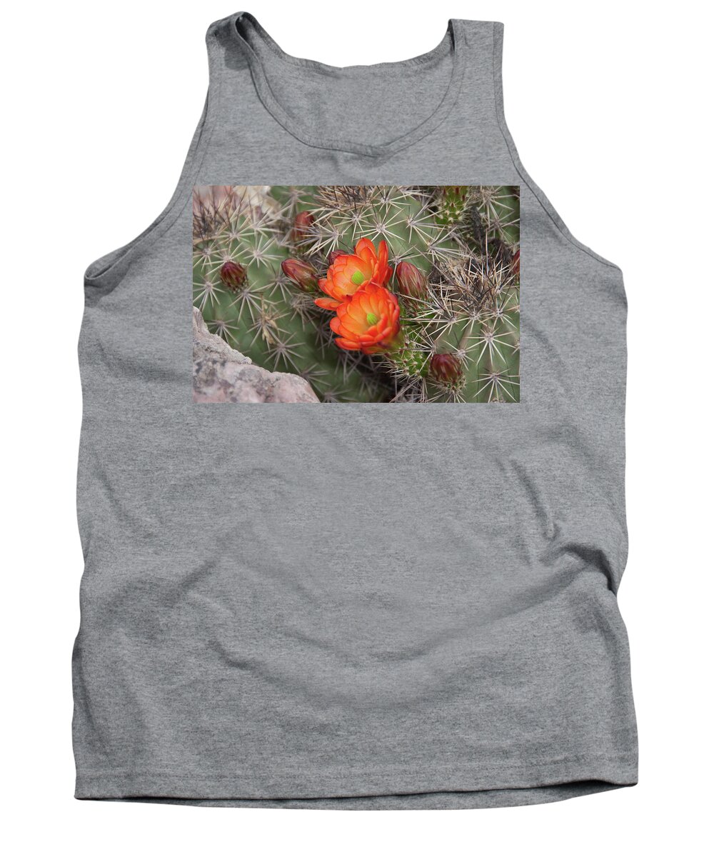Arizona Tank Top featuring the photograph Cactus Blossoms by Monte Stevens