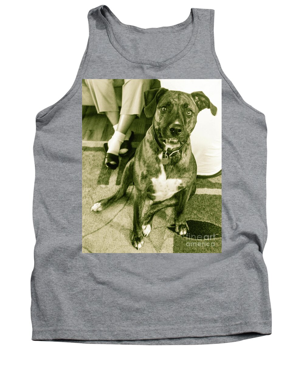 Man's Best Friend; Caesar's Warm And Protective! Ruff Tank Top featuring the photograph Caeser 6 by Robin Coaker