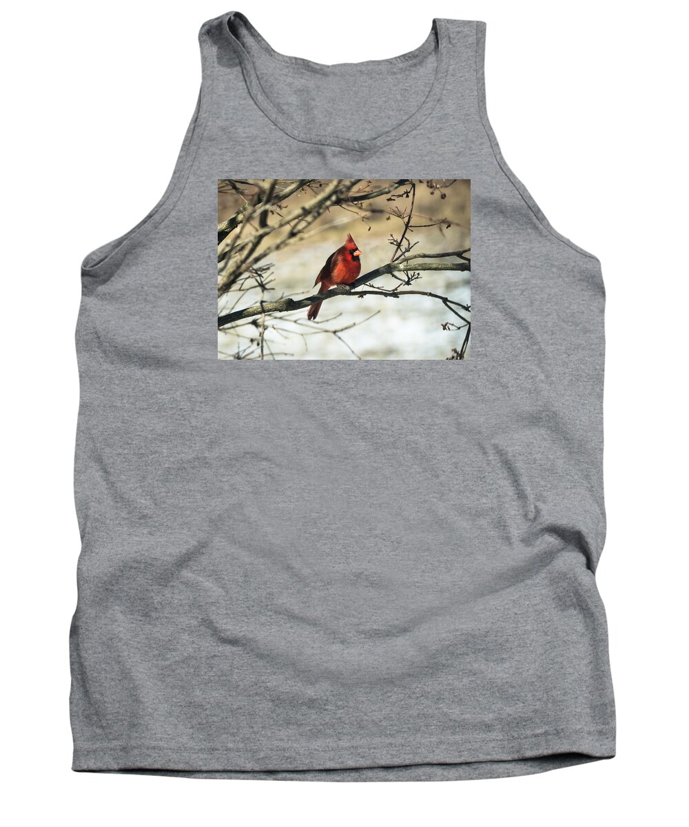 Jan Holden Tank Top featuring the photograph Cardinal  by Holden The Moment