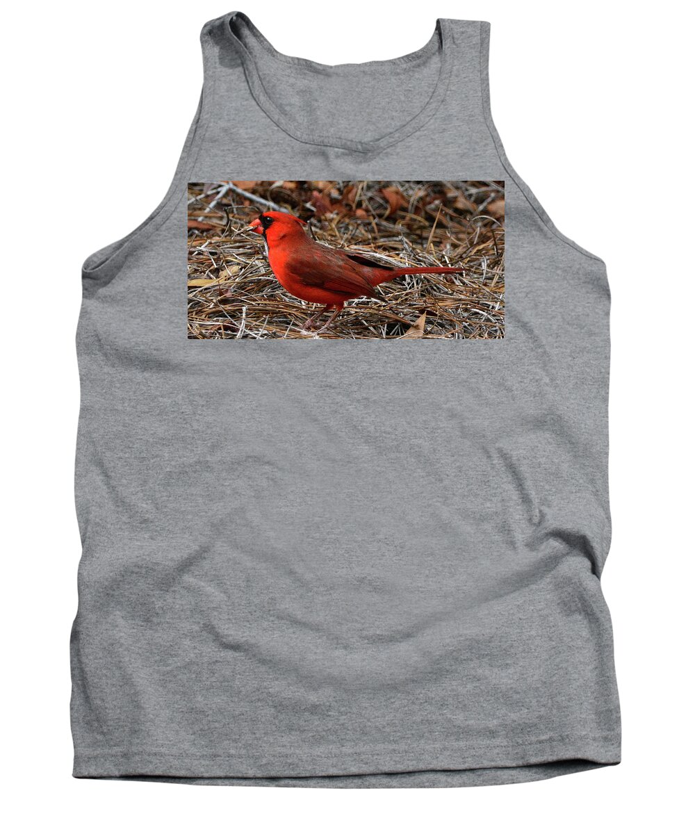 Cardinal Tank Top featuring the photograph Cardinal on Pine Straw by Jerry Griffin