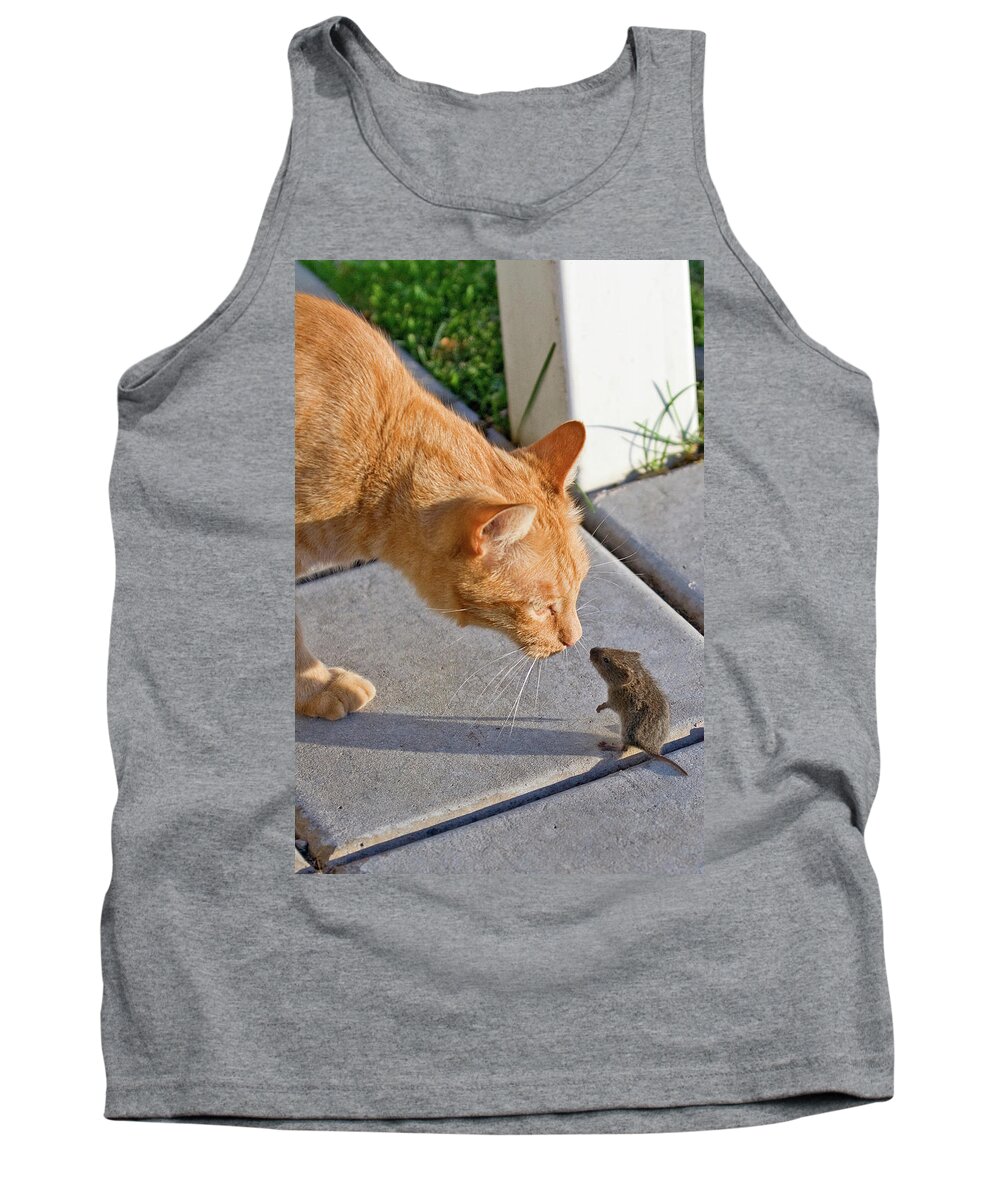 Cat Tank Top featuring the photograph Cat and Mouse by Wesley Aston