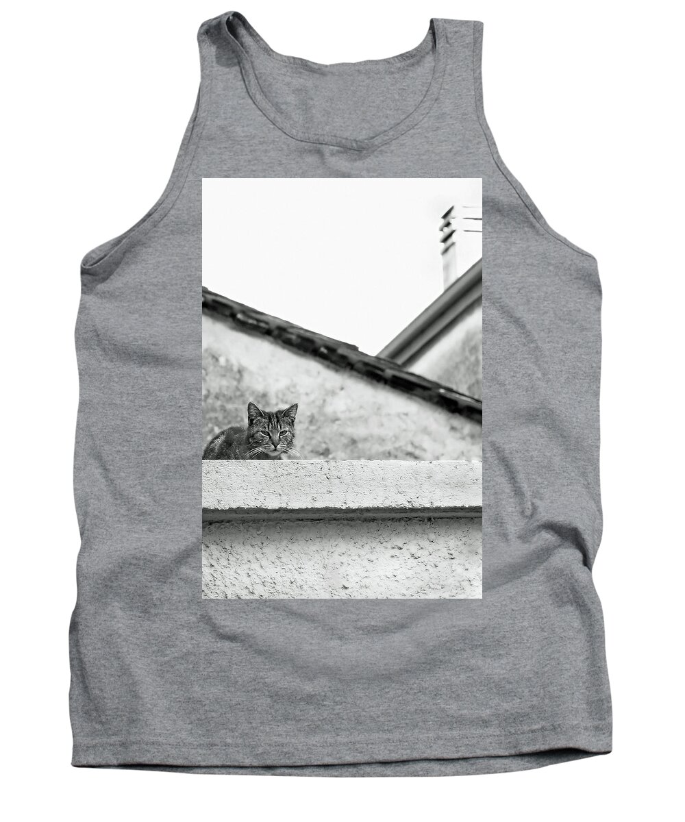 Cat Tank Top featuring the photograph Cat on a Roof, Varenna by Brooke T Ryan