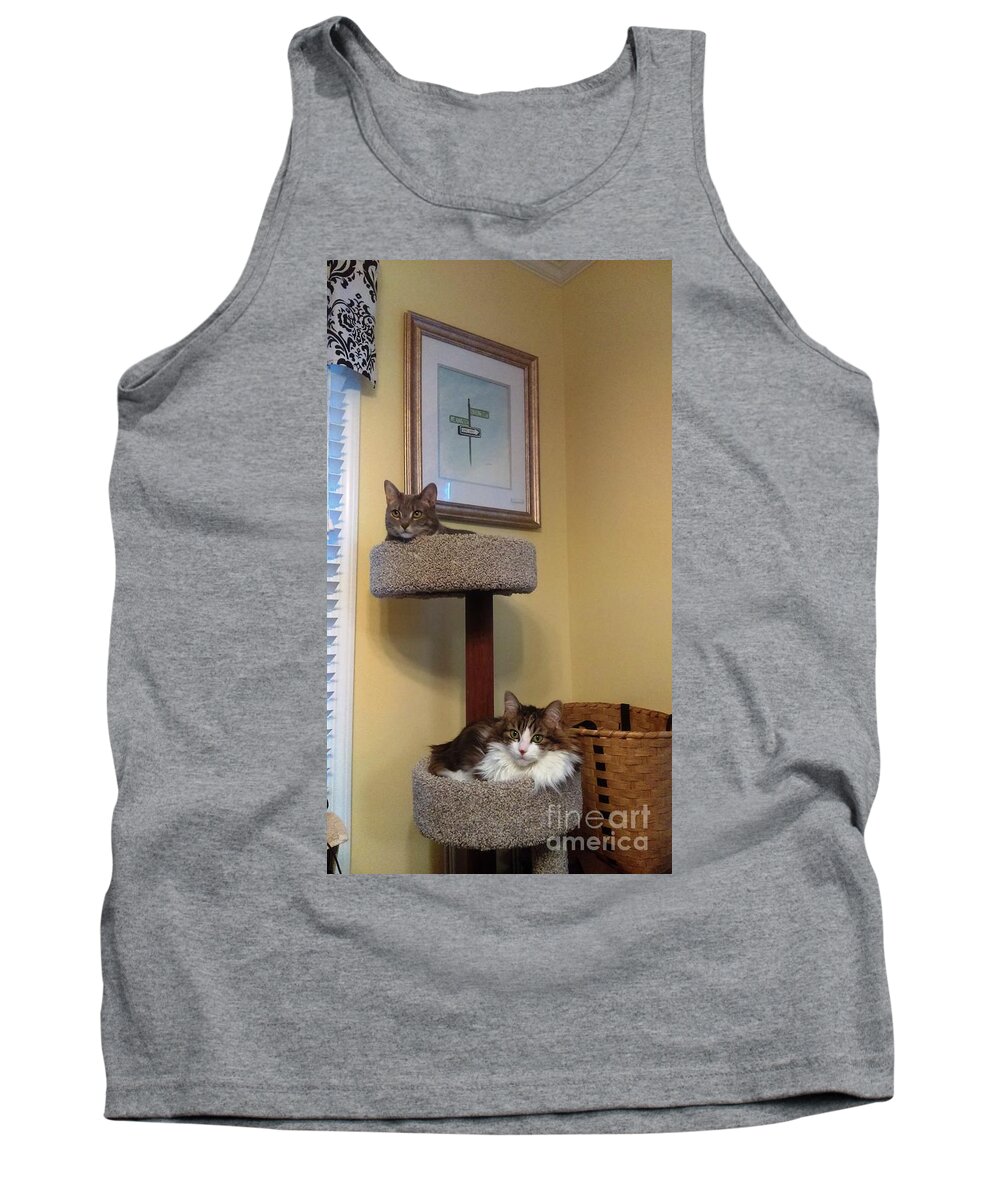 Cat Tank Top featuring the photograph Cat Tower by Stacy C Bottoms