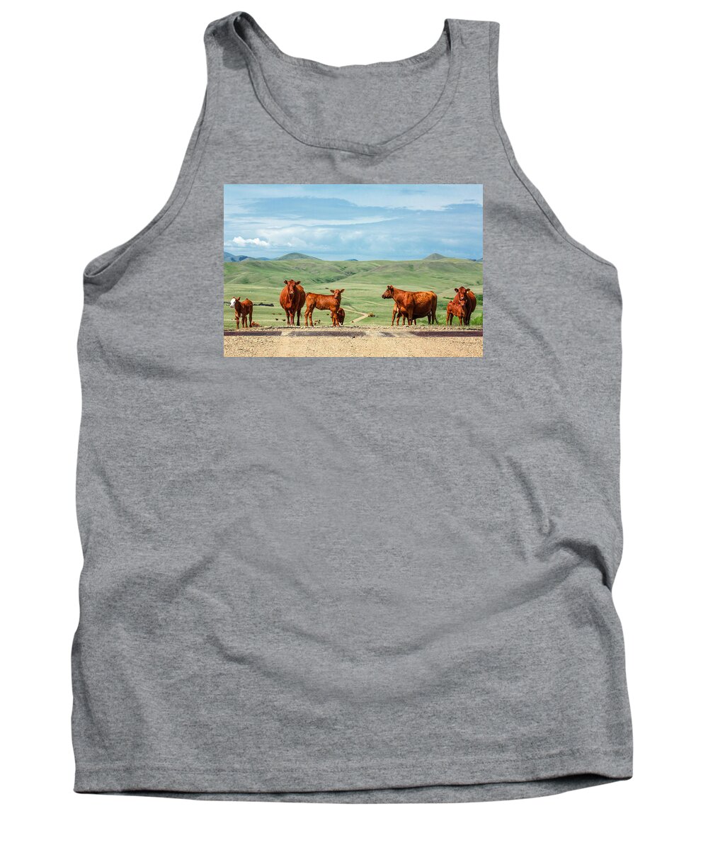 Cows Tank Top featuring the photograph Cattle Guards by Todd Klassy