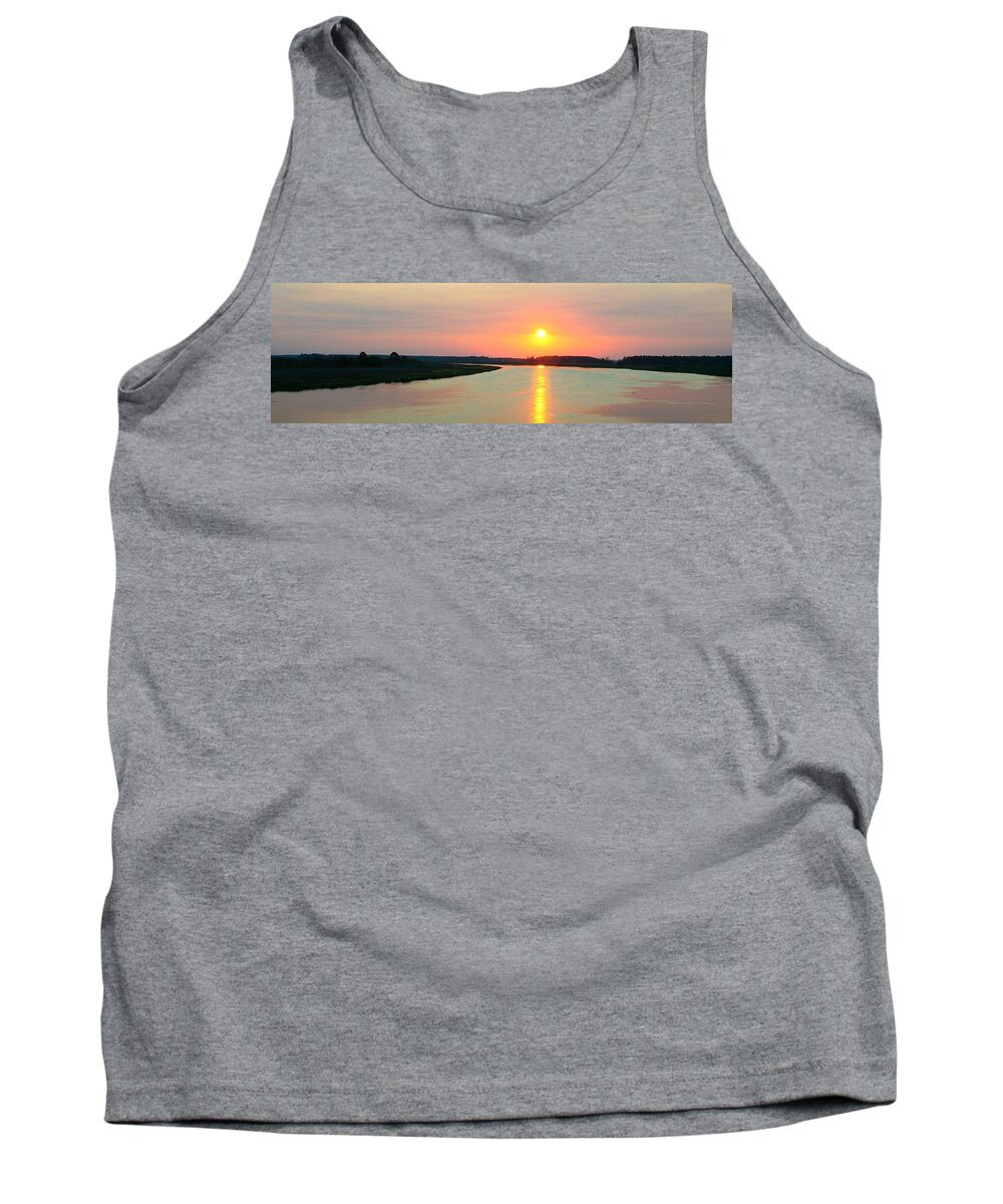 Jacksonville Tank Top featuring the photograph Chance Vision by Phil Cappiali Jr