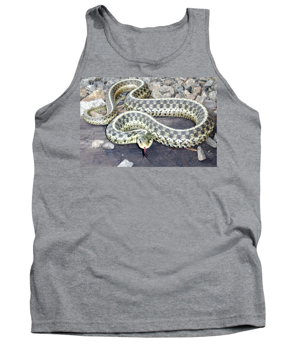 Checkered Garter Snake Photographs Canvas Prints Nonvenomous Serpent Herpetology Forest Ecology Biodiversity Nature Wildlife Fauna Bowleys Quarters Maryland Tank Top featuring the photograph Checkered Garter Snake by Joshua Bales
