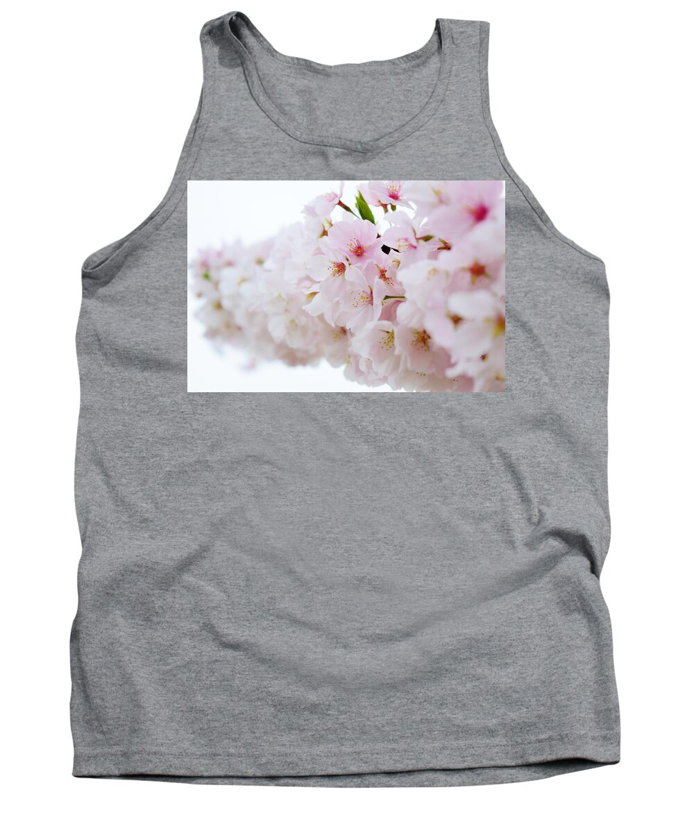 Cherry Blossom Tank Top featuring the photograph Cherry Blossom Focus by Nicole Lloyd