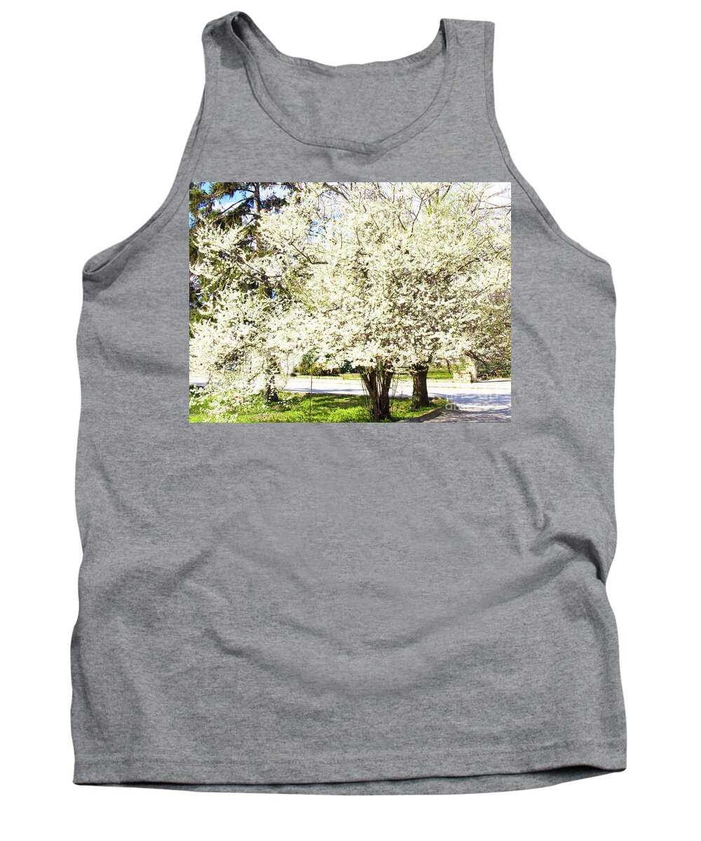 Cherry Tank Top featuring the photograph Cherry trees in blossom by Irina Afonskaya