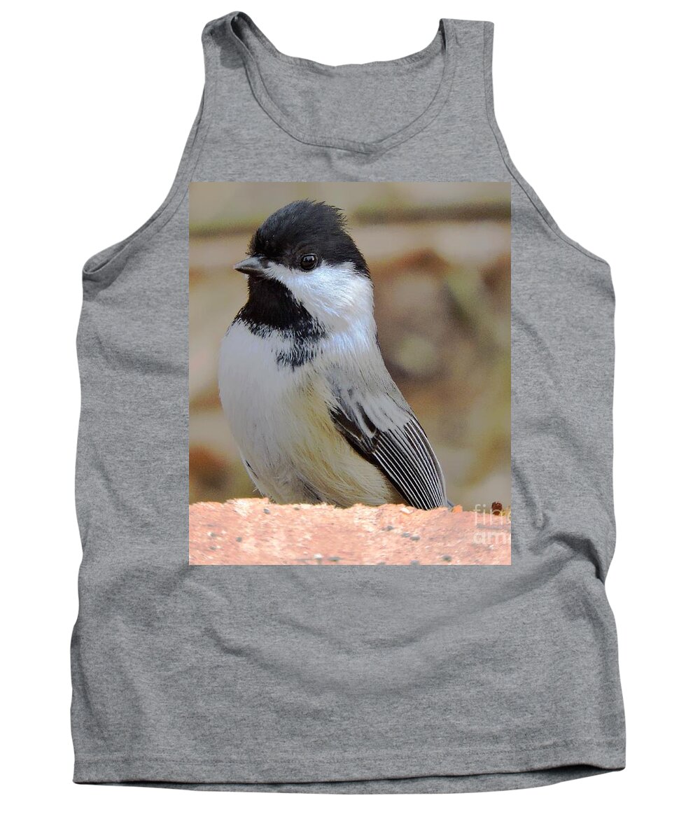 Chickadee Tank Top featuring the photograph Chickadee's Winter Reverie by Tami Quigley