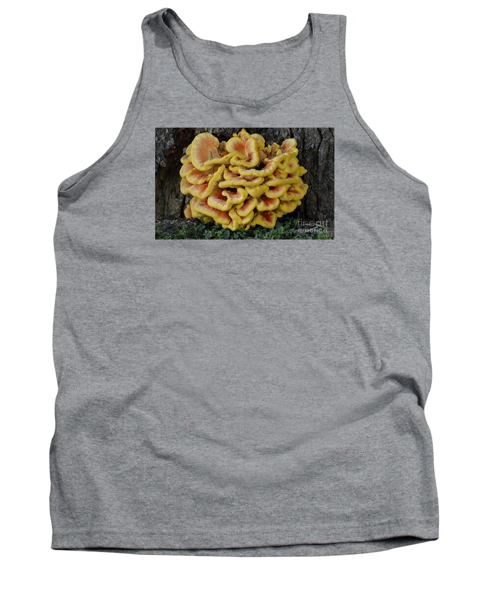 High Virginia Images Tank Top featuring the photograph Chicken of the Woods by Randy Bodkins