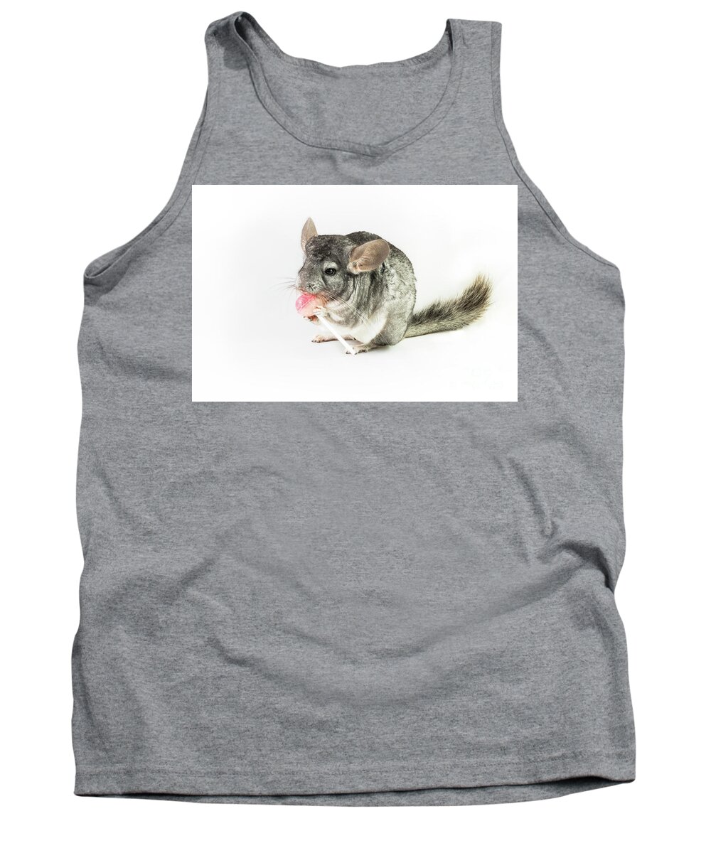 Ancestral Tank Top featuring the photograph Chinchilla with lollipop by Benny Marty