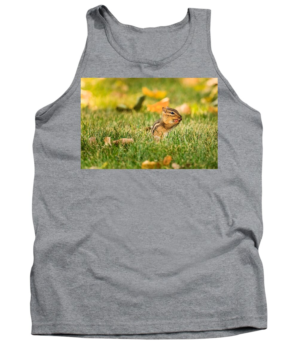 Animal Tank Top featuring the photograph Chipmunk Licking His Paws by Joni Eskridge