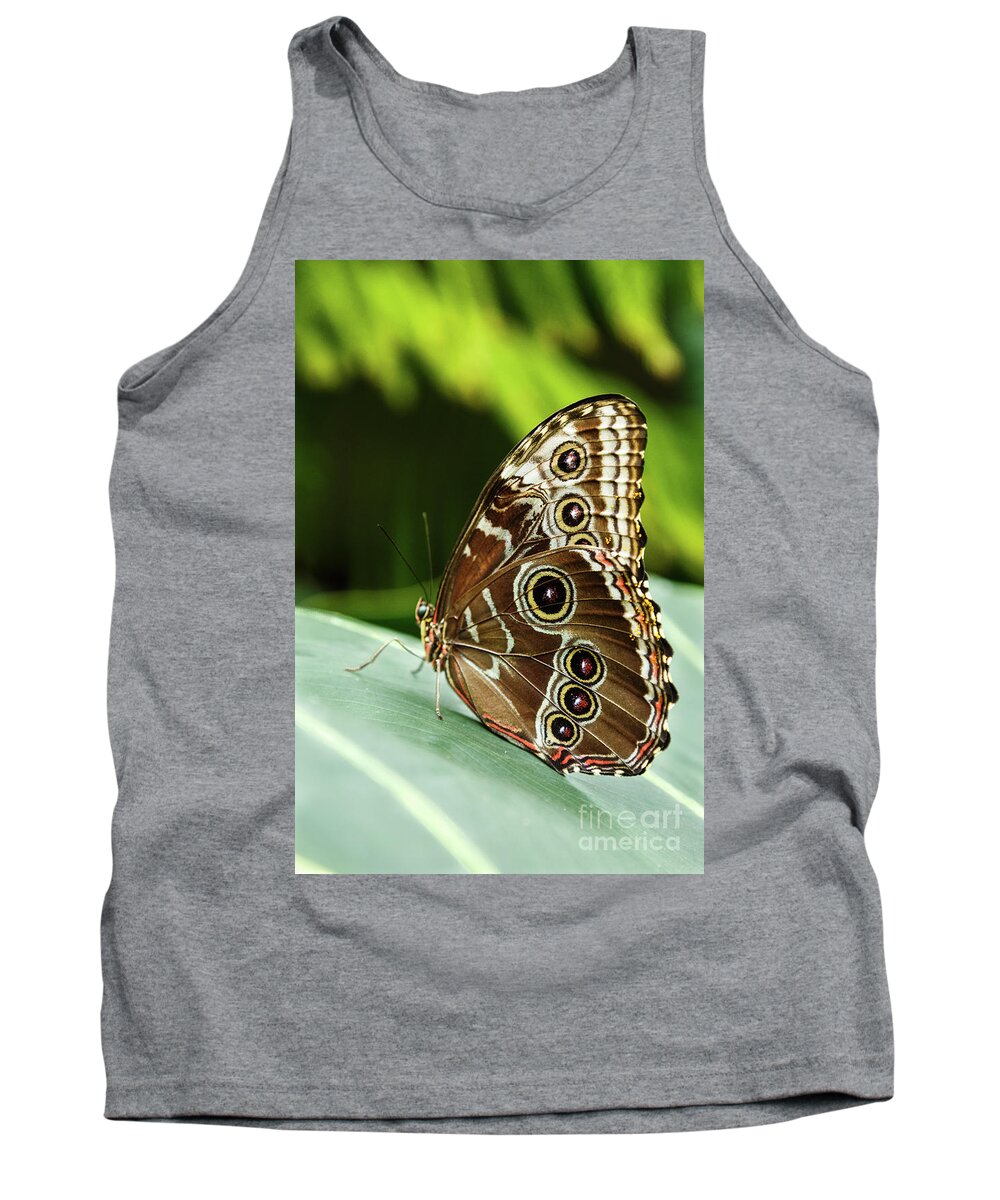 Insect Tank Top featuring the photograph Circles of Color by Terri Morris