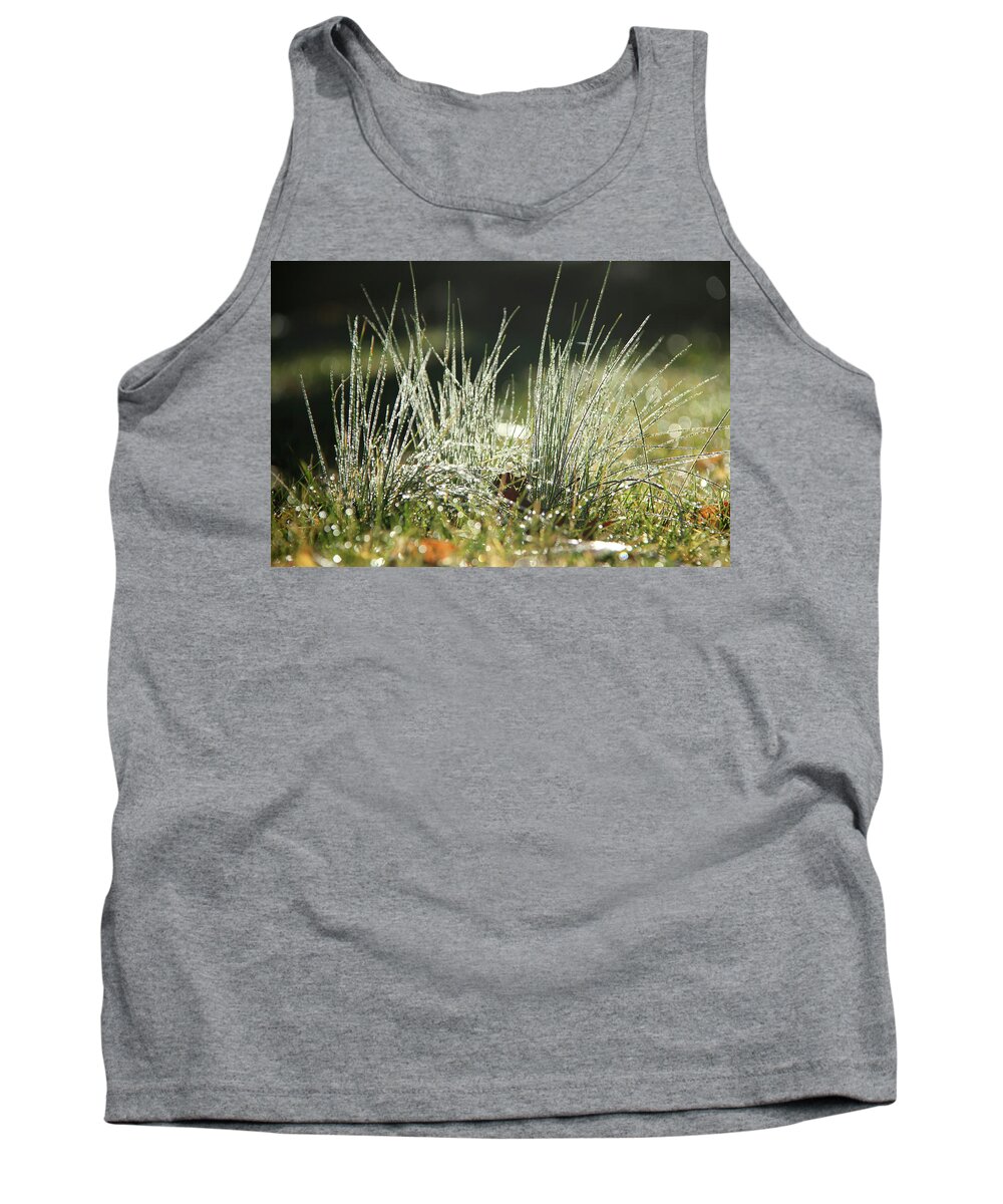 Grass Tank Top featuring the photograph Close-up of dew on grass, in a sunny, humid autumn morning by Emanuel Tanjala