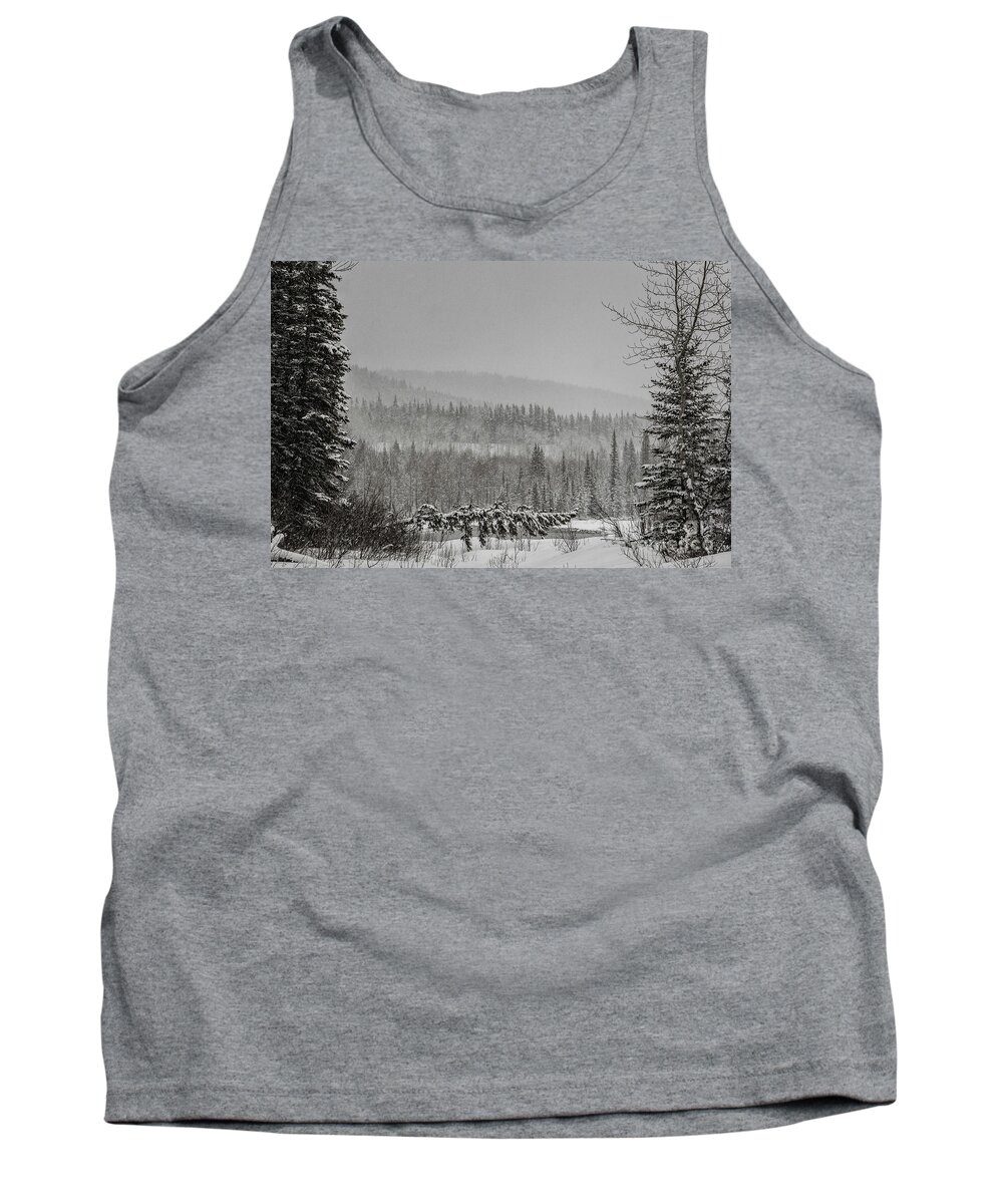 Alberta Tank Top featuring the photograph Closed for Winter by Brad Allen Fine Art