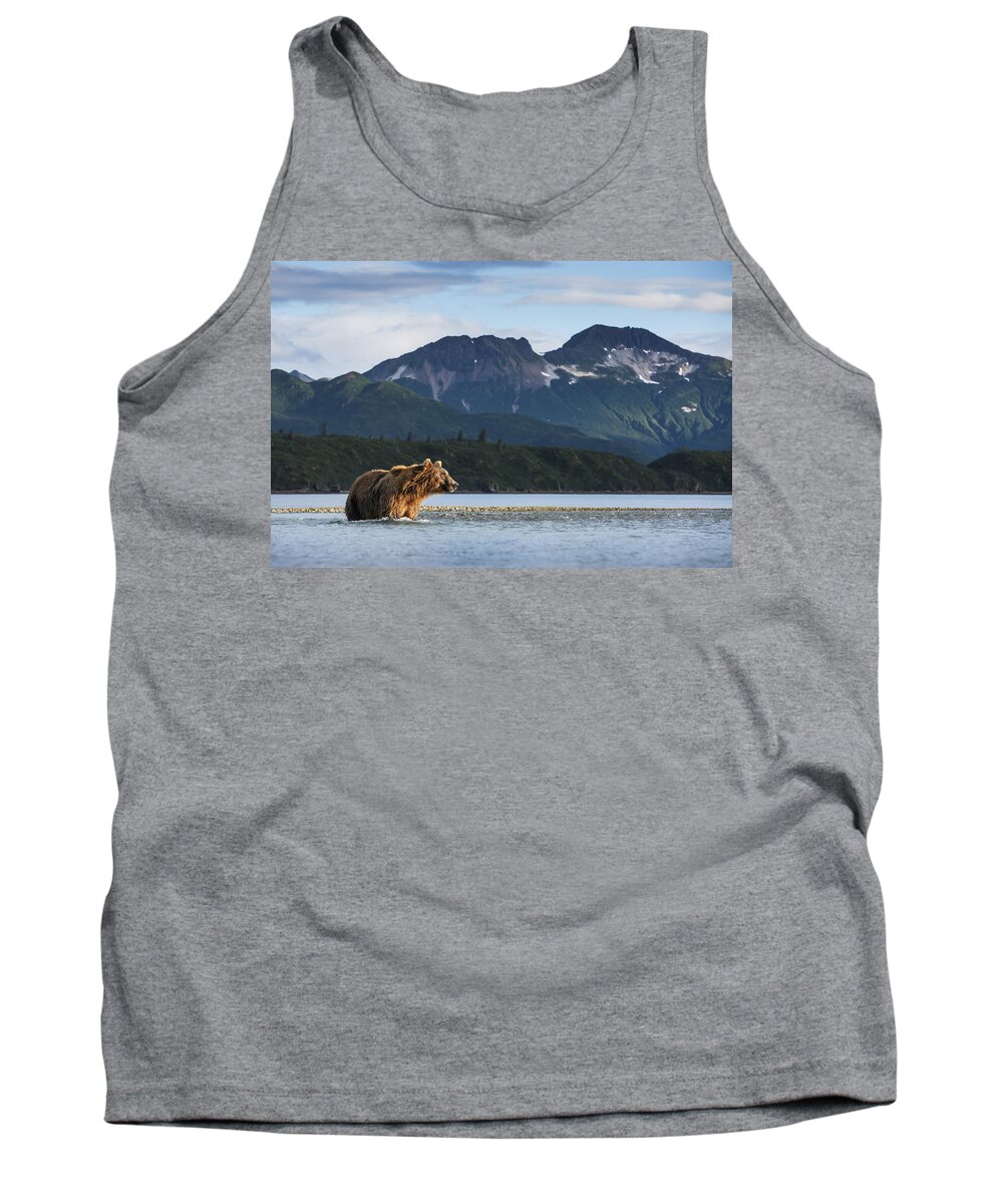 Alaska Tank Top featuring the photograph Coastal Brown Bear Ursus Arctos by Paul Souders