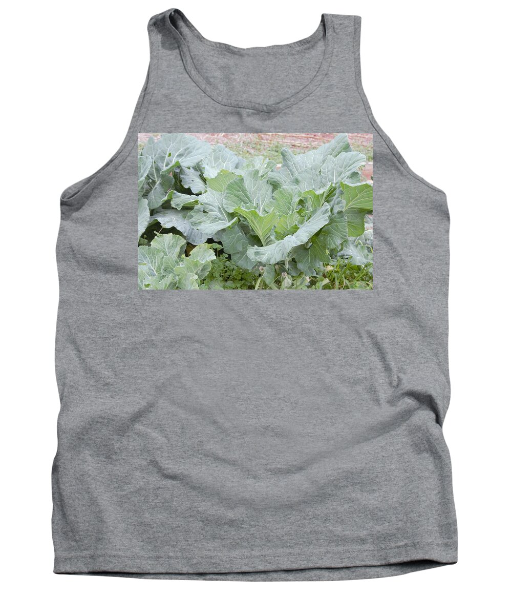Plant Tank Top featuring the photograph Collards by Ali Baucom