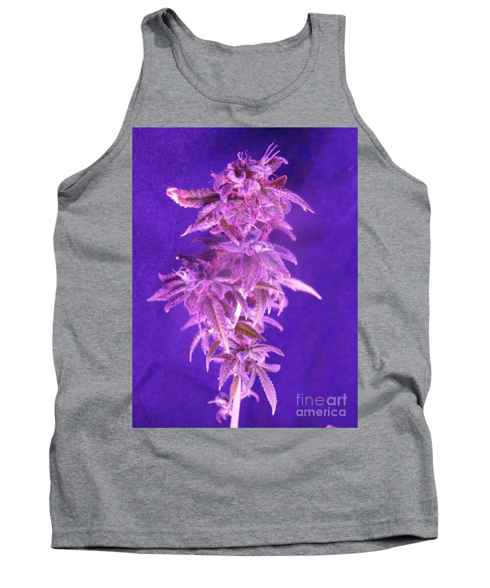  Tank Top featuring the photograph Colorado Rocksy by Kelly Awad