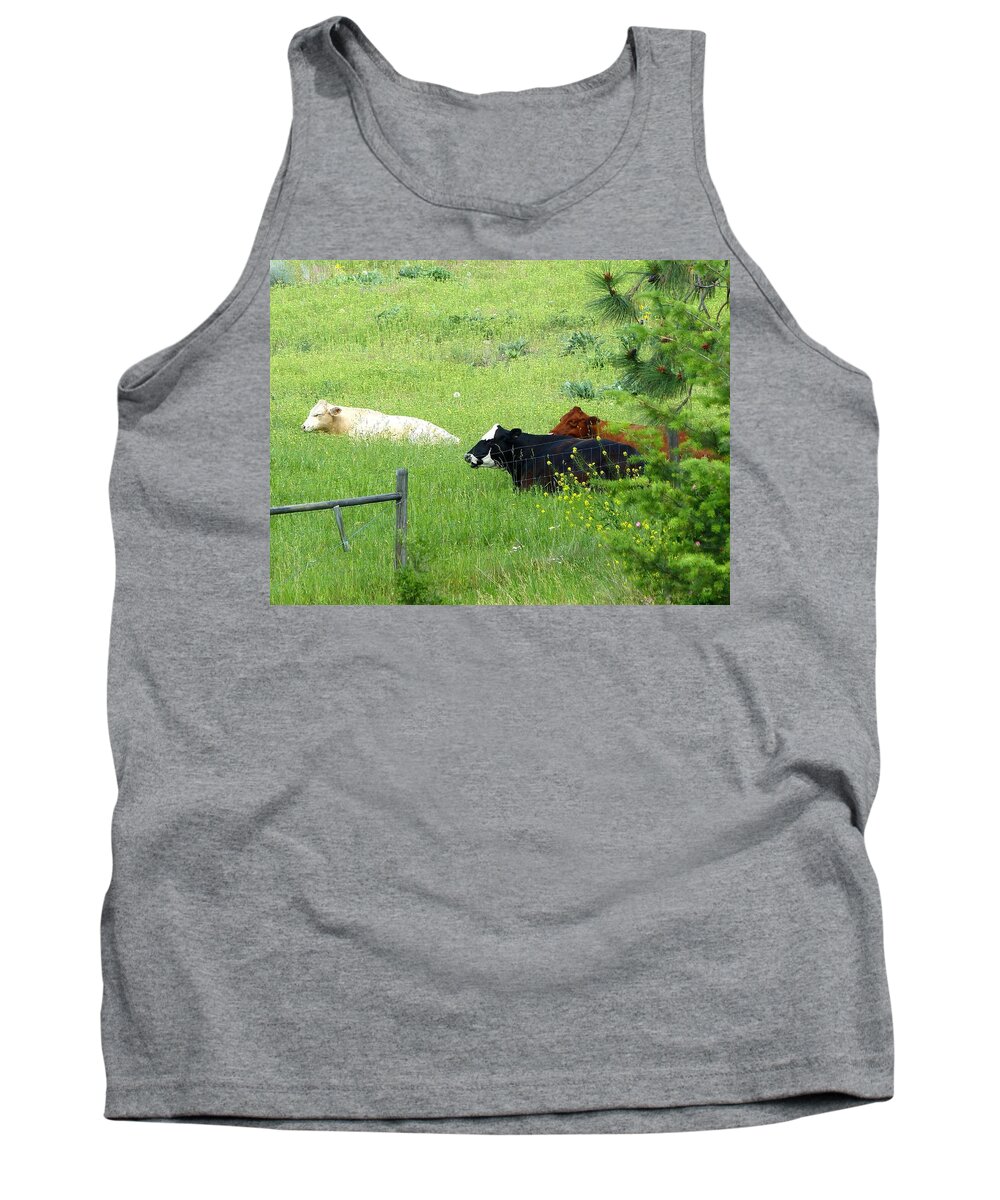 Cattle Tank Top featuring the photograph Colorful Cattle by Will Borden