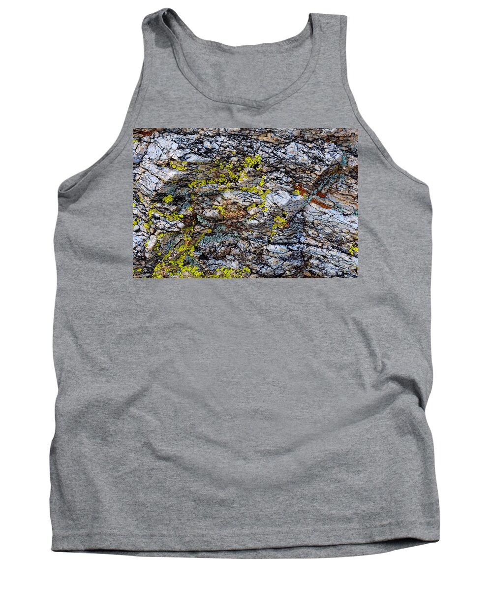 Lichen Tank Top featuring the photograph Colors by Melisa Elliott