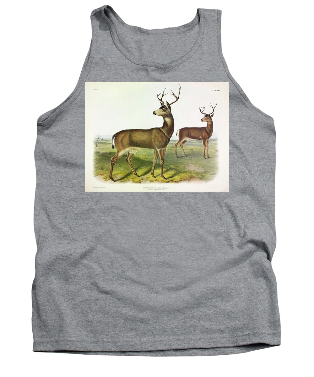 Black-tailed Deer Tank Top featuring the painting Columbian Black-tailed Deer by John James Audubon