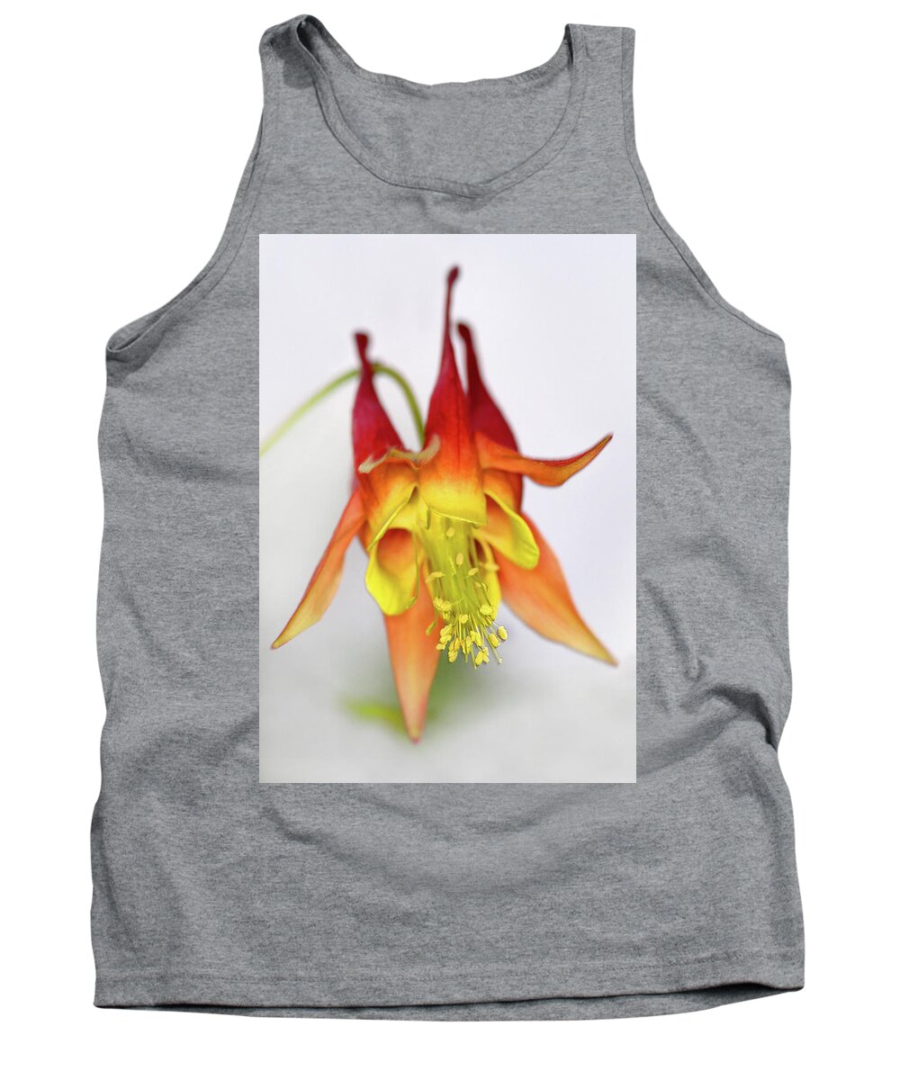 Eastern Red Columbine Tank Top featuring the photograph Columbine #3 by Jamieson Brown