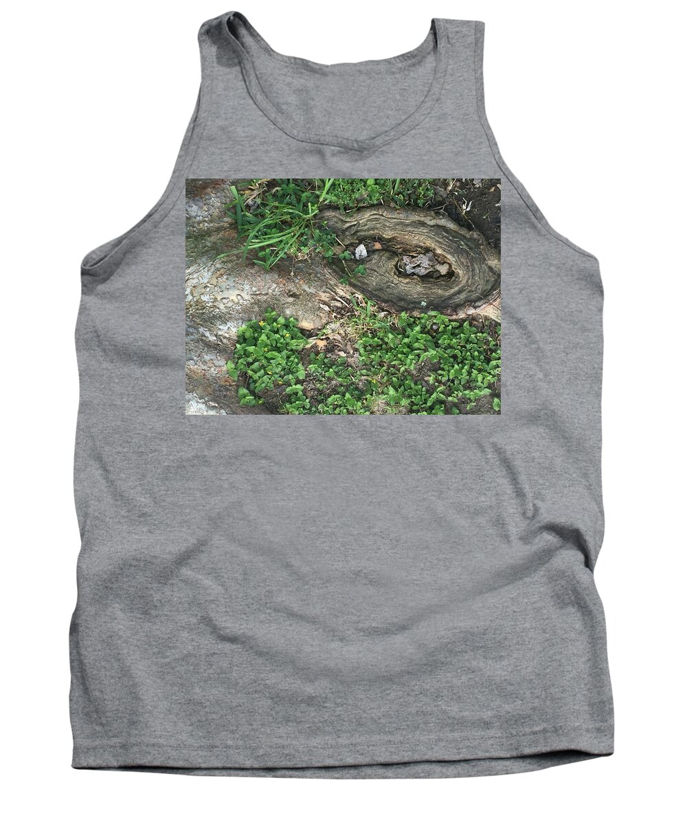 Nature Tank Top featuring the photograph Composition in Trees by Etta Harris