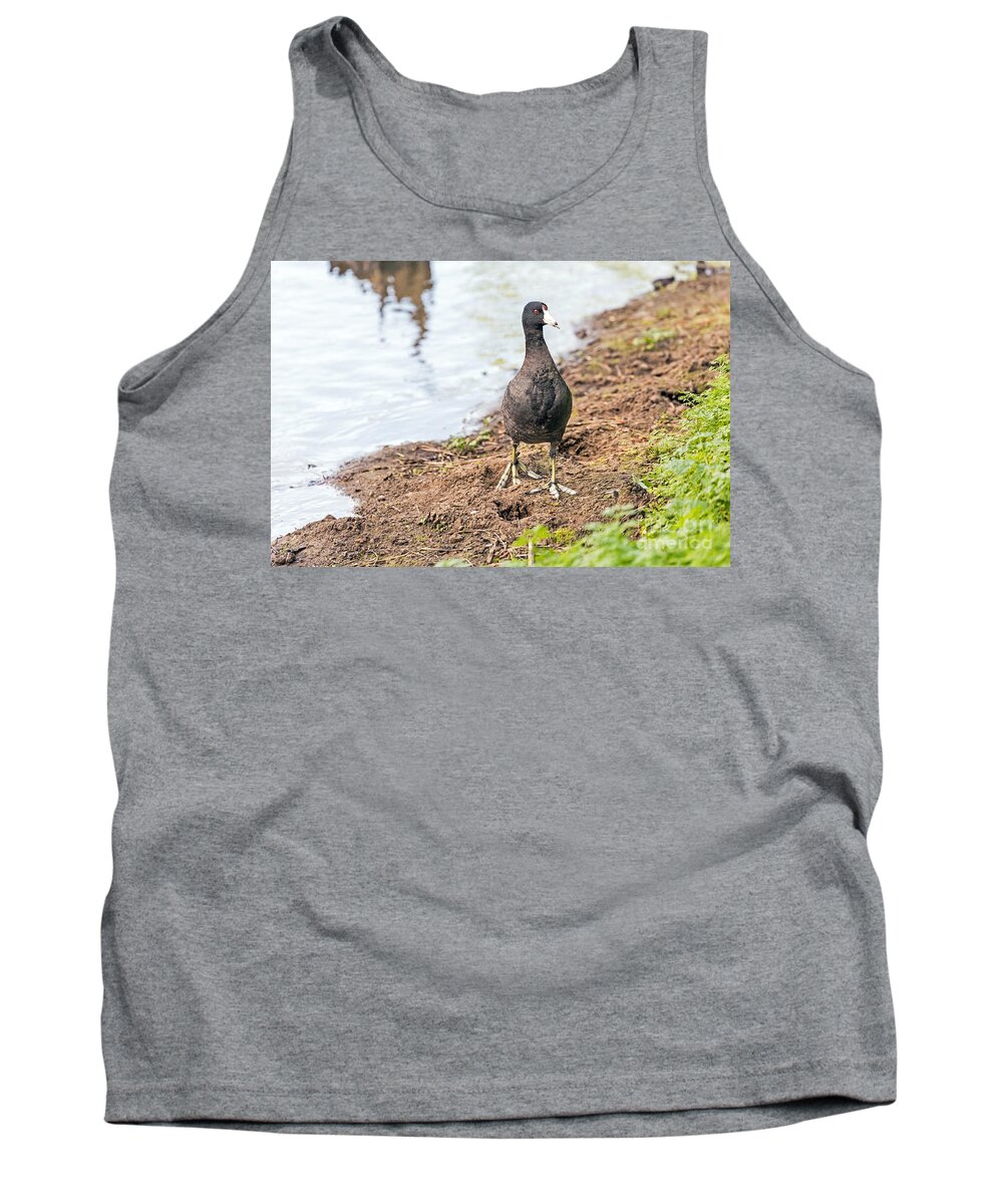 American Coot Tank Top featuring the photograph Coot Approaching by Kate Brown