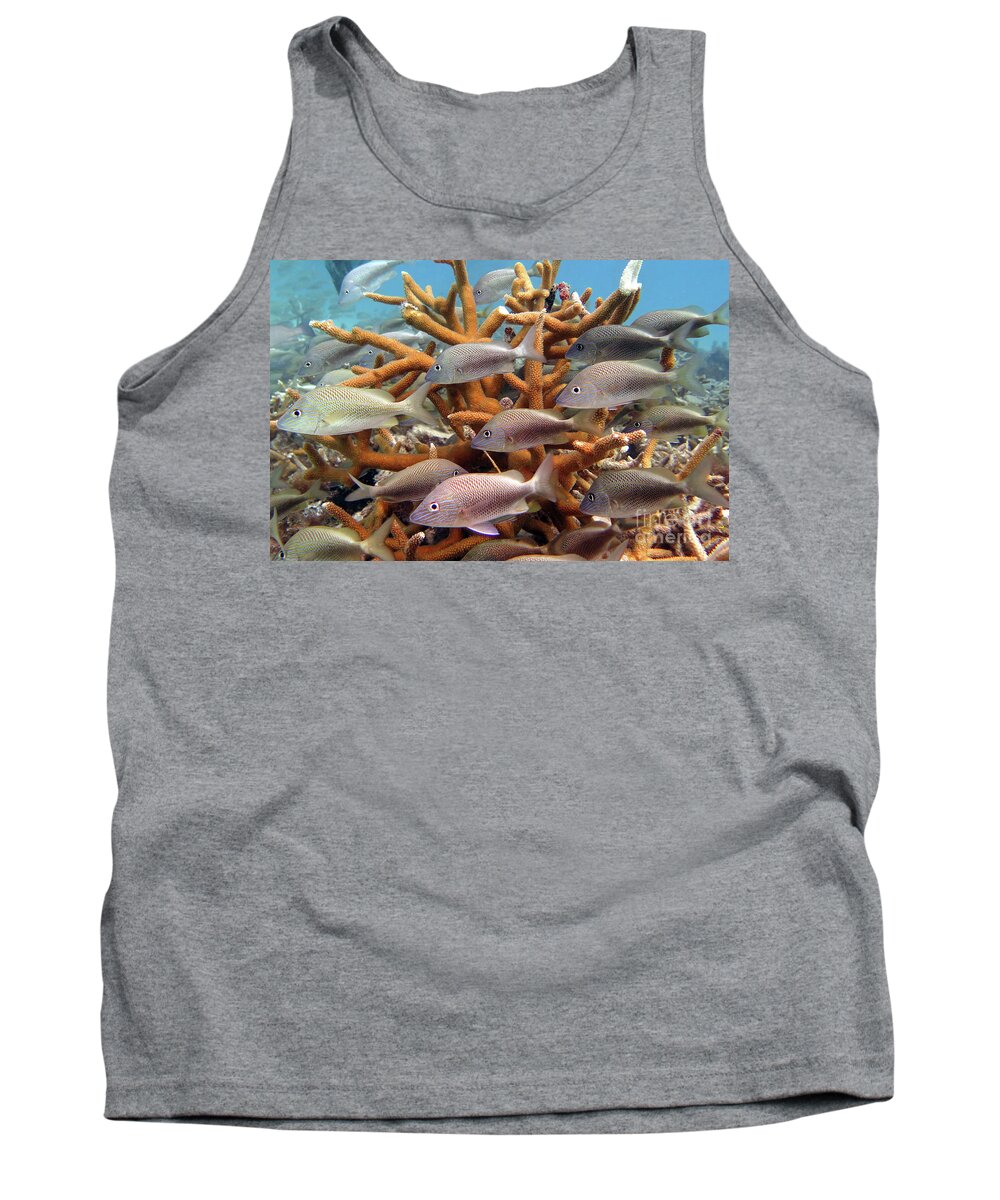 Underwater Tank Top featuring the photograph Coralpalooza 1 by Daryl Duda