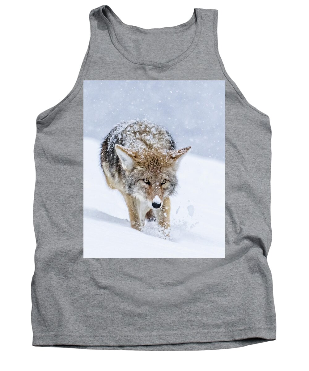 Coyote Tank Top featuring the photograph Coyote Coming Through by Yeates Photography