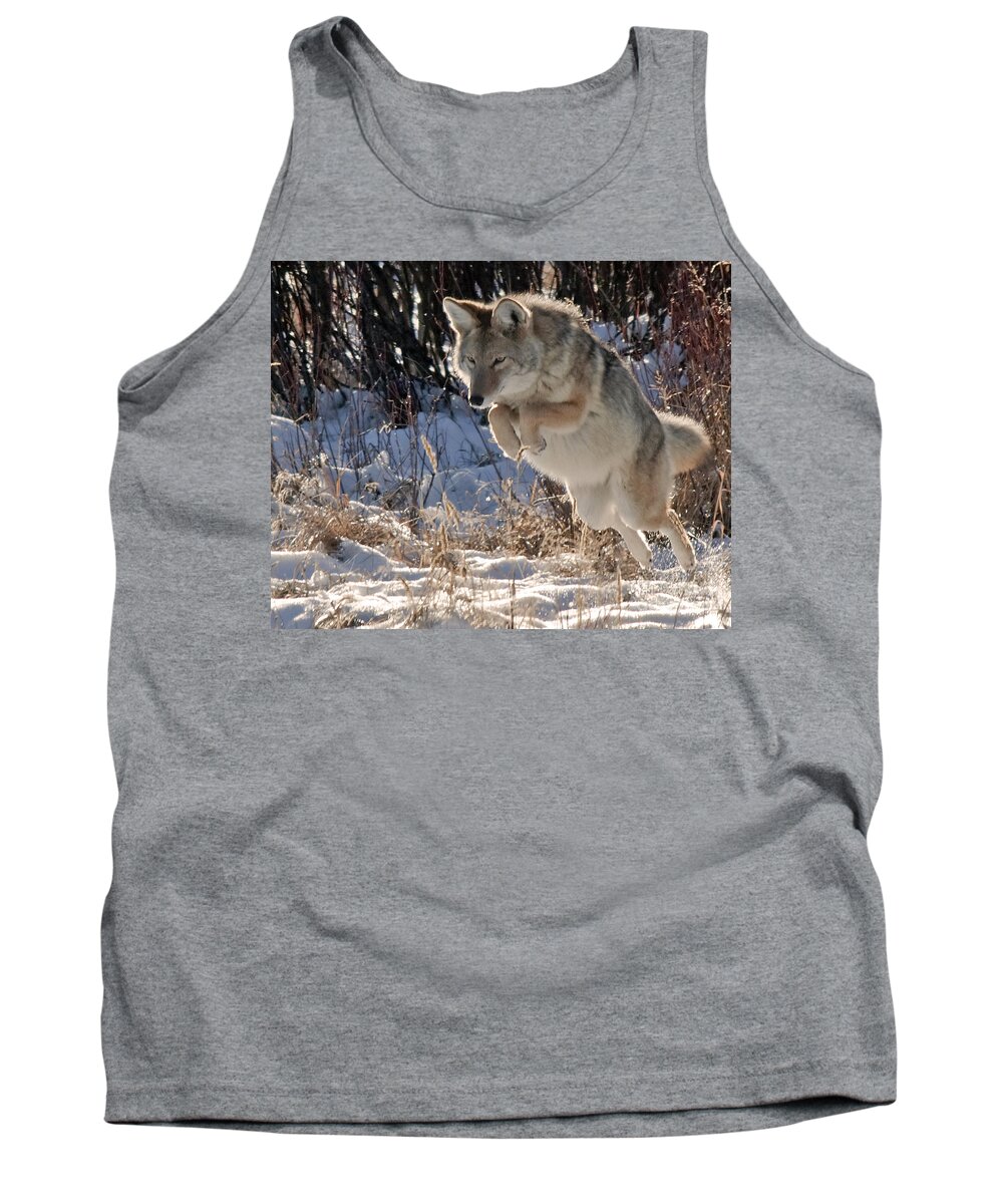 Coyote Tank Top featuring the photograph Coyote In Mid Jump by Gary Beeler