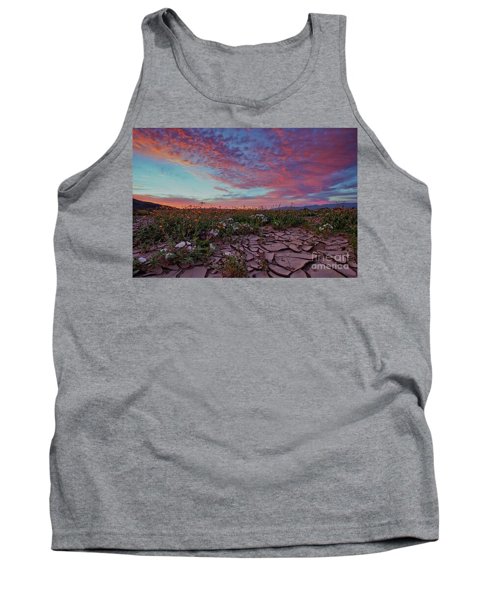 Anza Borrego State Park Tank Top featuring the photograph Crack of Dawn by Sam Antonio