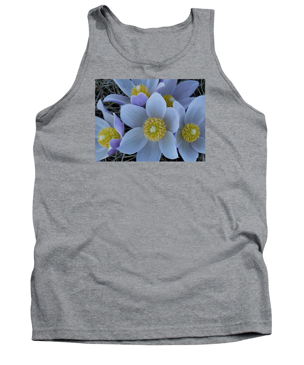 North Dakota Wildflowers Tank Top featuring the photograph Crocus Blossoms by Cris Fulton