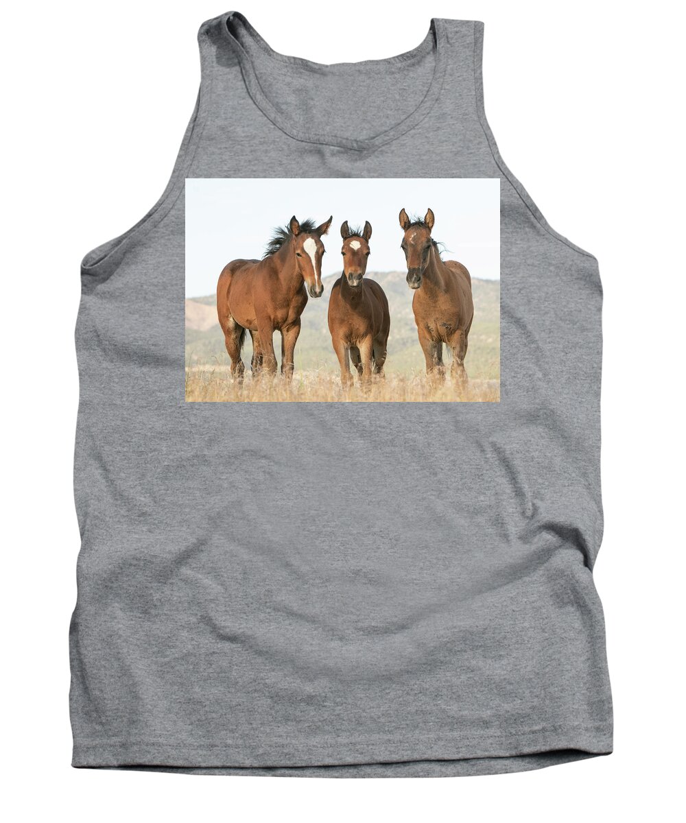Horse Tank Top featuring the photograph Curious Foals by Kent Keller