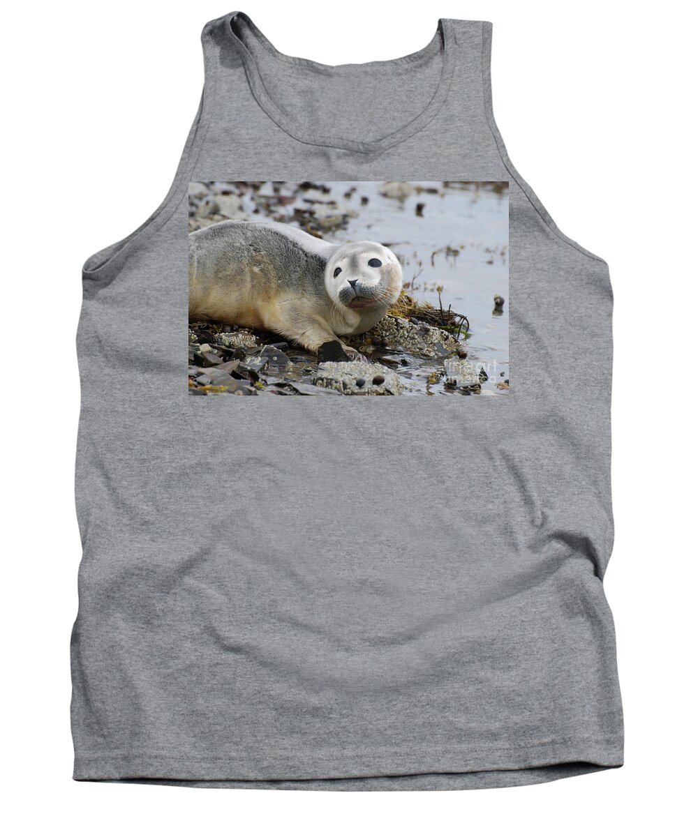 Seal Tank Top featuring the photograph Curious Harbor Seal Pup by DejaVu Designs